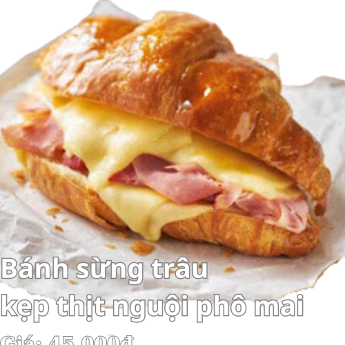 classic ham,cheese croissant